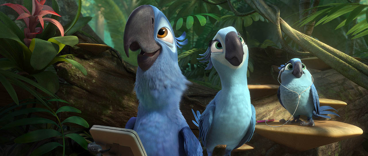 Foto RIO 2 Foto RIO 2